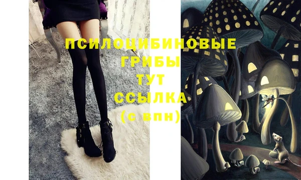 кокс Абинск