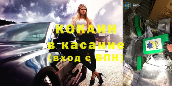 стаф Алексин