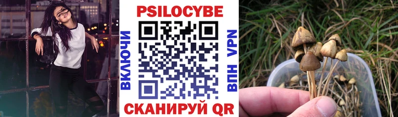Галлюциногенные грибы Psilocybine cubensis  купить наркоту  Югорск 