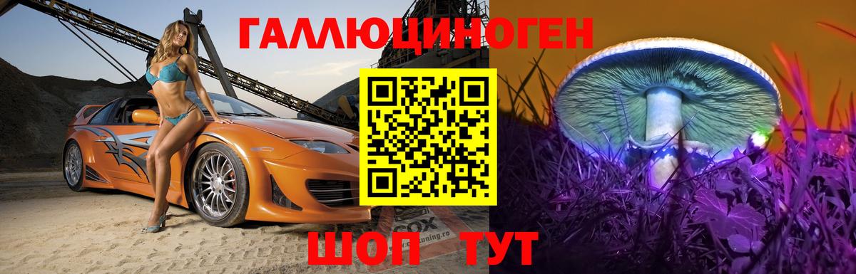 Псилоцибиновые грибы Cubensis Югорск